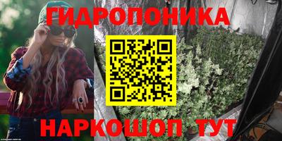 дмт Шелехов