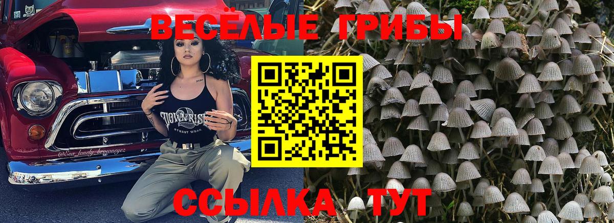 Псилоцибиновые грибы мухоморы  Вход с VPN  Галлюциногенные грибы Magic Shrooms  Петропавловск-Камчатский 